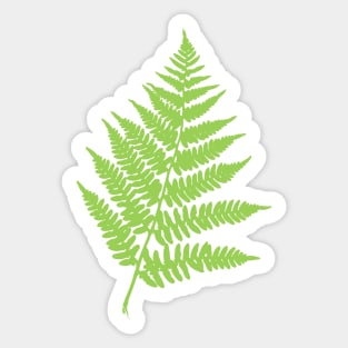 Green fern Sticker